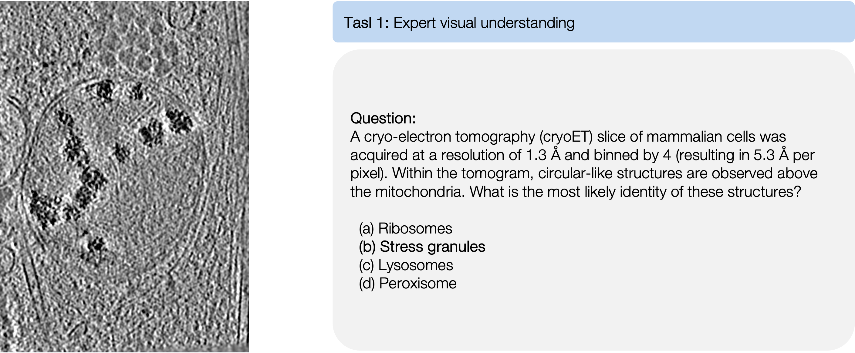 task 1 example