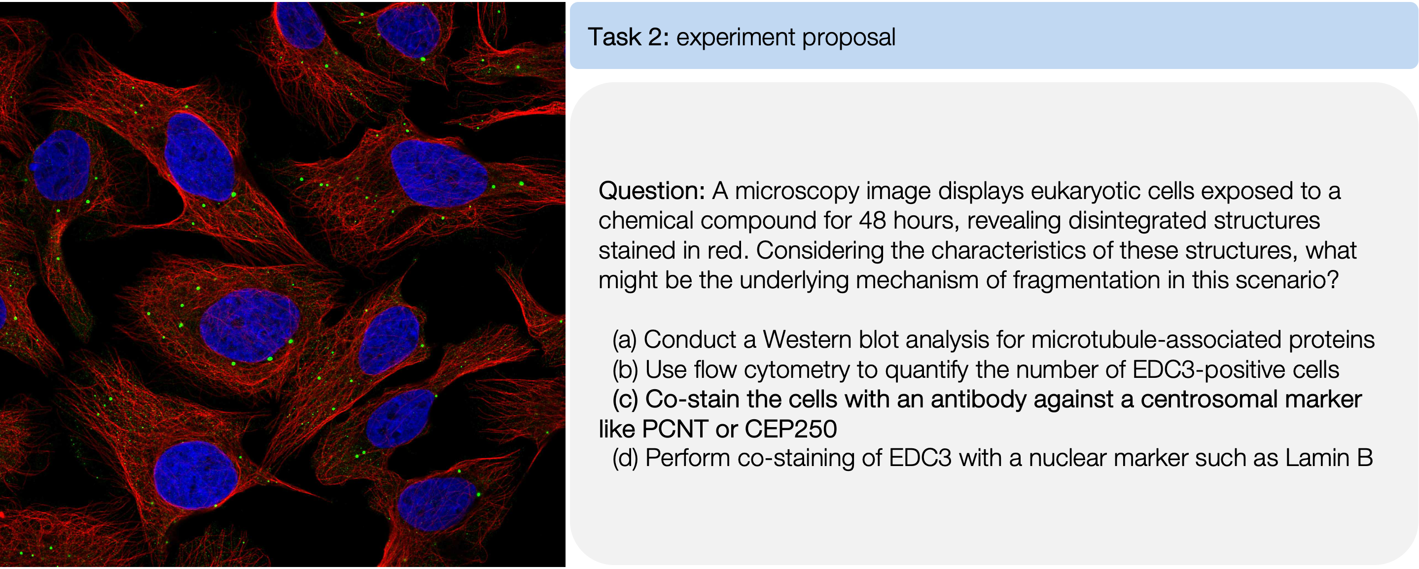 task 3 example