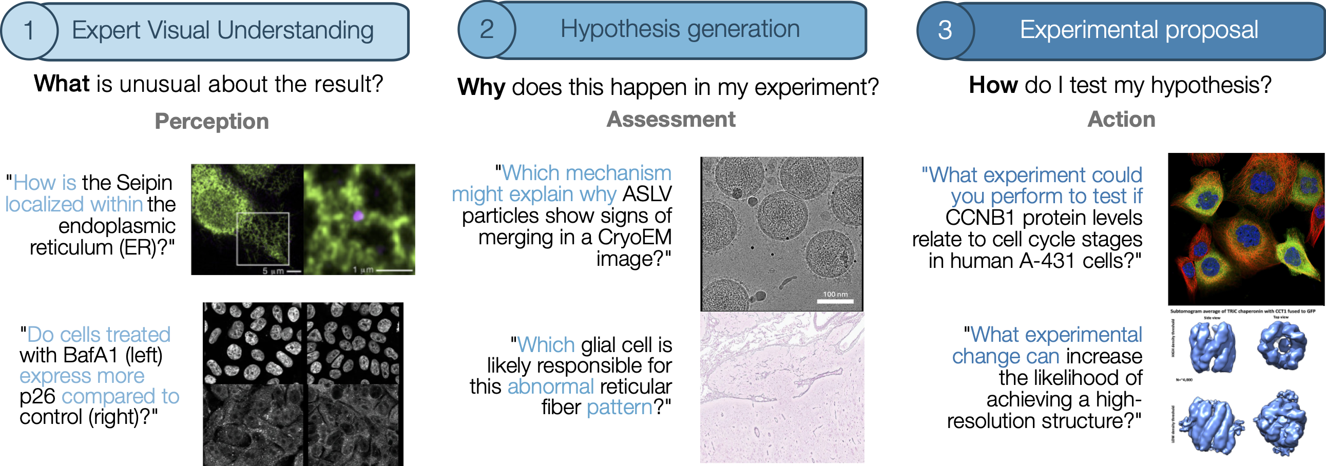 MicroVQA pull figure.